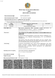 17018698_kz_page-0006